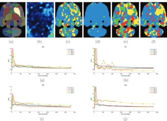 Figure 5. Clustering results on a real dynamic PET scan of a rat brain. First row: representative registered transverse slice