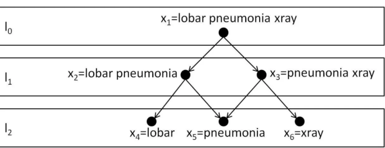 Figure 6.2: The hierarchical structure of the phrase ‘lobar pneumonia xray’.