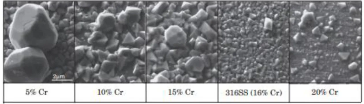 Figure 1.6: SEM images of the oxide film after immersion in simulated PWR primary water at 320 °C for 380 h,  observed by Terachi’s investigation (Terachi et al., 2008)