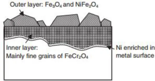 Figure 1.7: Schematic image of cross-sectional oxide film on stainless steel, proposed by Terachi’s work  (Terachi et al., 2008)