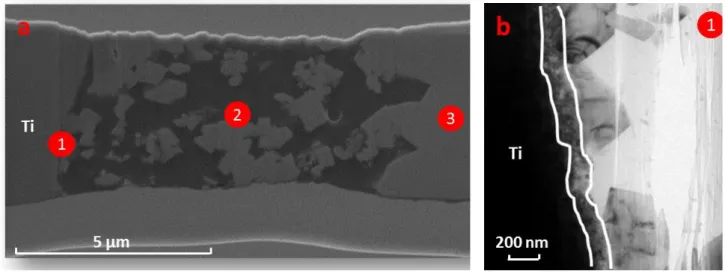 Figure 2.11: Thin section of titanium sample (a). Three principal areas are observed: (1): area close to titanium substrate; 