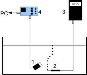 Fig. 4. Diagram of experimental setup. A micropipette (2) connected to a gas flow (3) (Eppendorf air generator) was immersed in a water tank