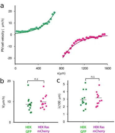 Figure 4: Velocity profiles. a. Example of the AMA velocity profiles (dots) measured by PIV in the monolayers, t = 6.75 h