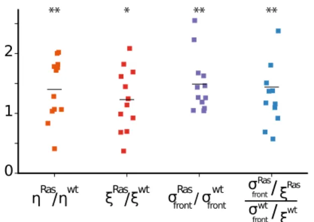 Figure 6: Relative material parameters for the two competing monolayers From left to right, we show the relative shear viscosity 1.4 ± 0.5, the relative friction coefficient 1.2 ±0.5, the relative front stress 1.5 ±0.5 (Eq