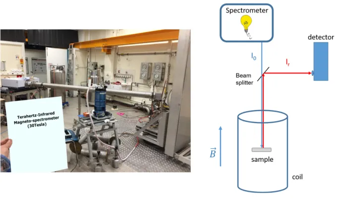 Figure  3.  Experimental  setup  for  magnetic  field  dependent  reflectivity  measurements: 