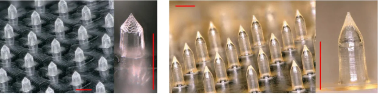 Figure 1: Digital microscopy images of MN-patch fabricated by solvent casting molding method