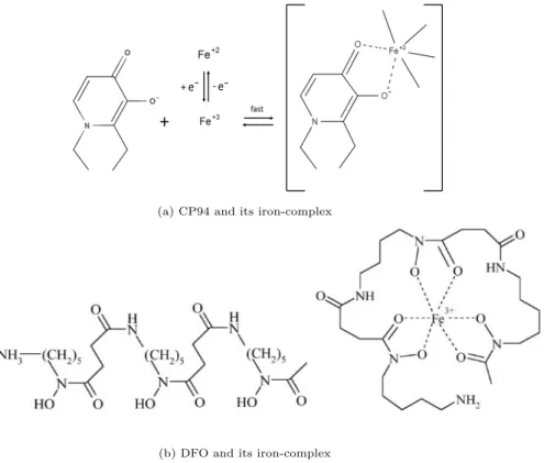 Figure 7: Representation of iron-complex involved to promote PpIX accumulation.