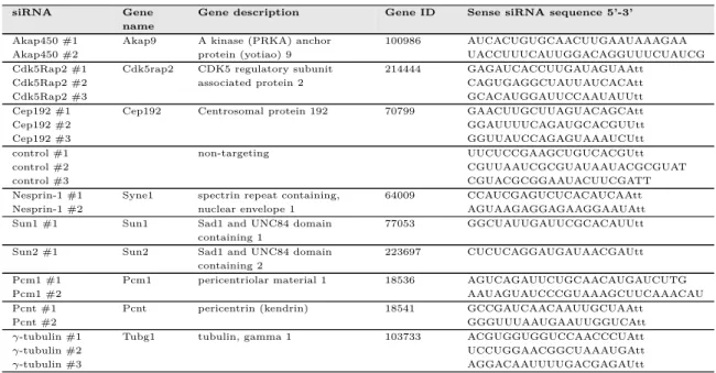 Table 2.7: siRNAs