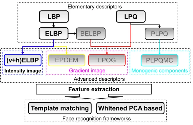 Figure 4.1: Contributions presented in this chapter: ELBP and LPQ methods and their associated FR frameworks.