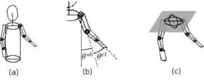 Fig. 1. The 3D models: (a) the 3D model is made of a skeleton with geometrical primitives, (b) the angles of the articulation defines the pose of the person, (c) in the 3D-2D processing the head and the shoulders are tracked in the 2D space of the recorded