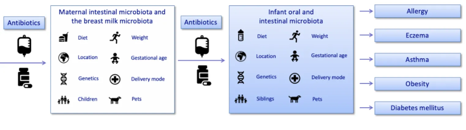 Figure 1  Summary of factors that might influence the composition of the maternal intestinal and breast milk microbiome, and  the infant oral and intestinal microbiome together with possible associated adverse health outcomes.