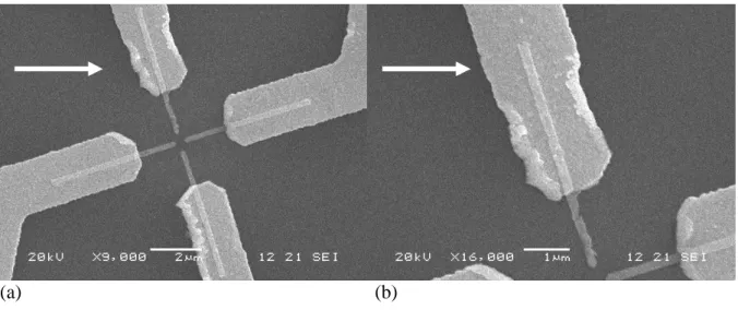 Figure  4 : Motifs de test d’or observé par MEB juste après avoir été imagé par  STM. (a) Vue générale