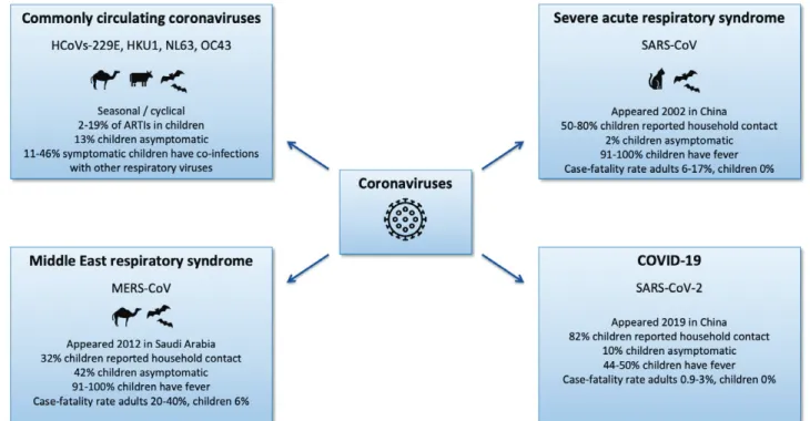 FIGURE 1.  Summary of coronavirus diseases. COVID-19 indicates coronavirus disease 2019.