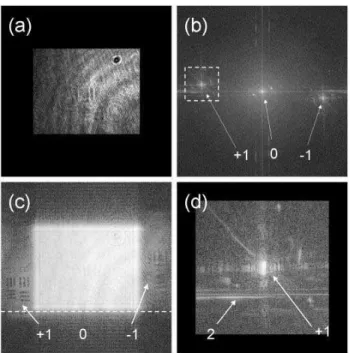 FIG. 3: Horizontal cut (y ≃ 1196) of the reconstructed field intensity | H|˜ 2 of Fig.2c