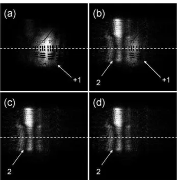 FIG. 5: Horizontal cuts (y ≃ 264) of the reconstructed field intensity | H˜ | 2 corresponding to the images Fig.4
