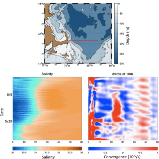 Fig. 2 FVCOM simulations showing enhanced convergence at the outer edge of a buoyant plume (low salinity water) passing Cape Cod