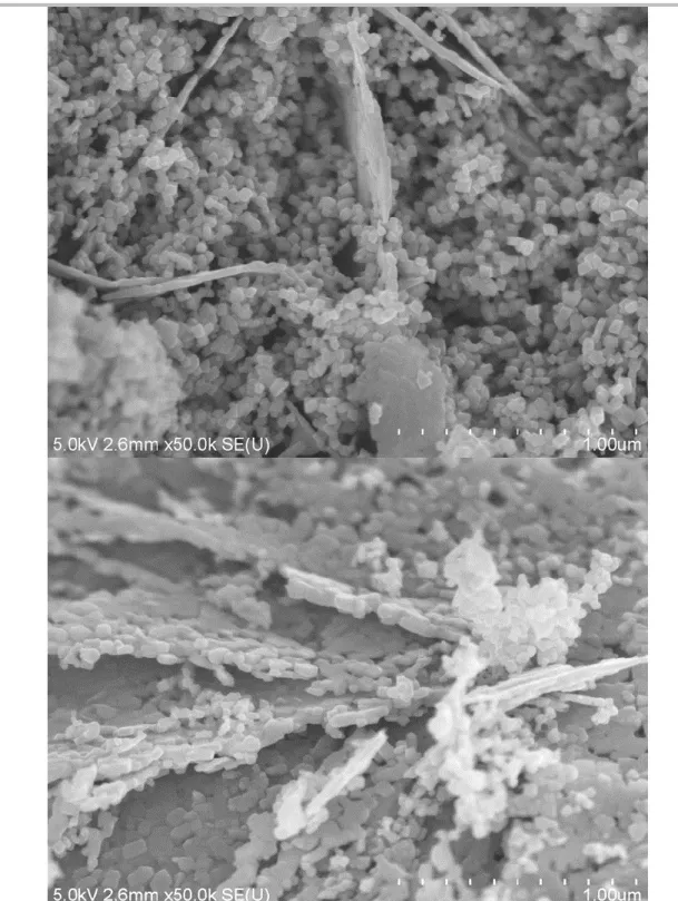 Figure S5. SEM images of the LPCMO sample showing minor amounts of sheets among the LPCMO  nanocubes