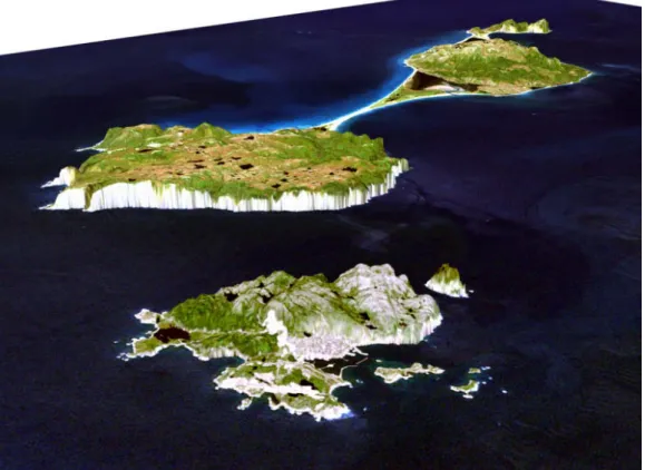 Figure 4.4 – Saint Pierre et Miquelon. Image 3D satellitale de Saint Pierre et Miquelon.