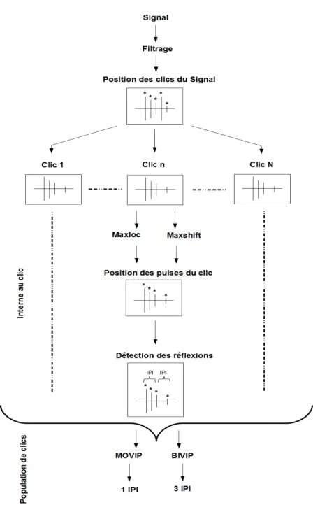 Figure 6.7 – Sh´ ema du protocole d’extraction des IPI. Organigramme repr´ esentant les diff´ erentes ´ etapes n´ ecessaires ` a l’extraction des IPI.