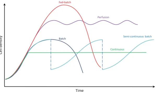 Figure  4.  Evolution  of  cell  density  in  time  according  to  bioreactor  culture  modes