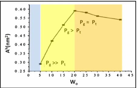 Figure III-3 : Evolution de la surface effective par tête d’AOT (A h ) en fonction du rapport  W o   et  des  fractions  de  population  relative  en  conformation  trans  P t   et  gauche  P g ,  respectivement