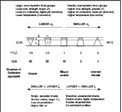 Figure I-6 : Effet des paramètres géométriques et des conditions expérimentales sur le paramètre  de courbure et la HLB, d’après Israelachvili (Israelachvili, 1994) 