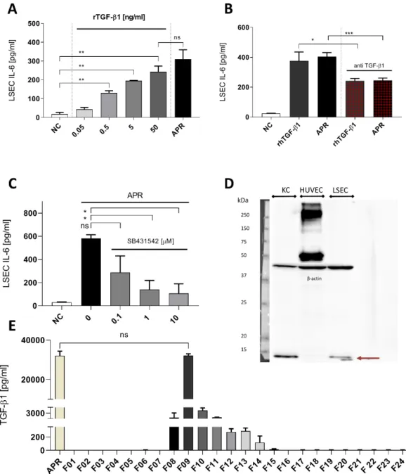 Figure 5. Transforming growth factor β1 is a strong candidate to activated platelet releasate soluble  factor
