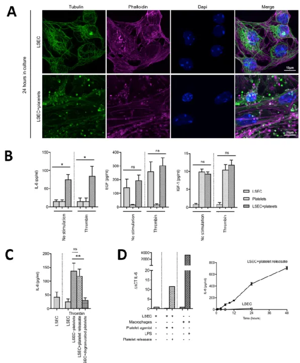 Figure  3.  The  releasate  of  activated  platelets  is  necessary  to  efficiently  induce  IL-6  release  from  LSECs