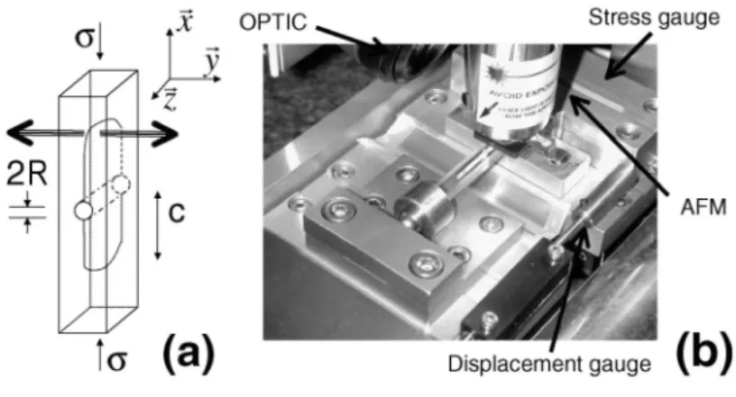 Figure 2: Experimental setup: (a) Sketch of the DCDC geometry; (b) picture of the experiment.