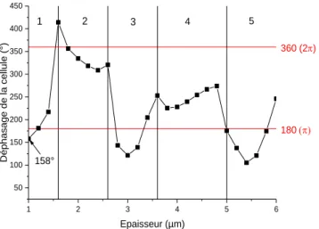 Figure 43 : Évolution du déphasage maximum en valeur absolue de la cellule en fonction de l'épaisseur de celle-ci (IPS-HA, Δε 
