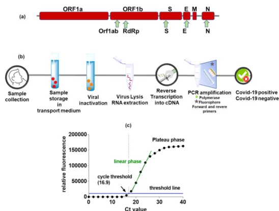Table 1. Some Selected SARS-CoV-2 RNA Detection Assays