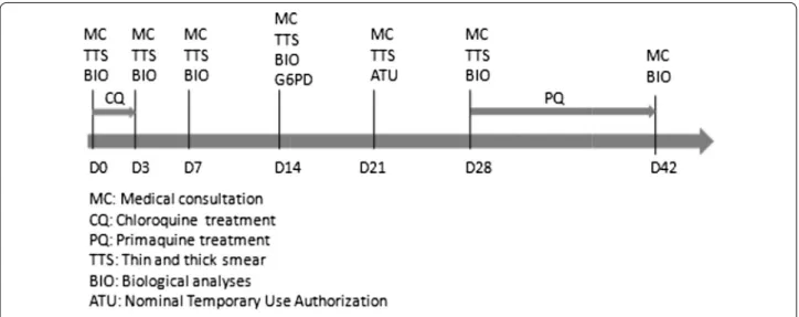Fig. 1  Standard follow‑up of patients presenting vivax malaria at Cayenne Hospital