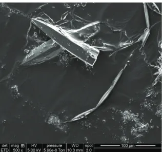 Figure 12 L’Image SEM des cristaux obtenus avec les conditions synthétiques optimisées