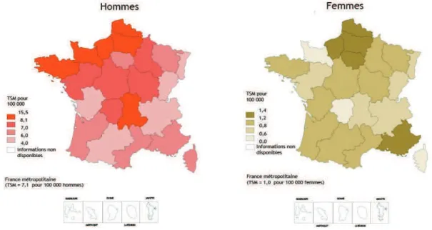 Figure 8. Incidence par régions françaises des cancers du larynx en 2005.