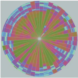 Figure 22 : Impression d’écran de « The pixel-oriented circle segment technique » dans (Keim, 2001) 