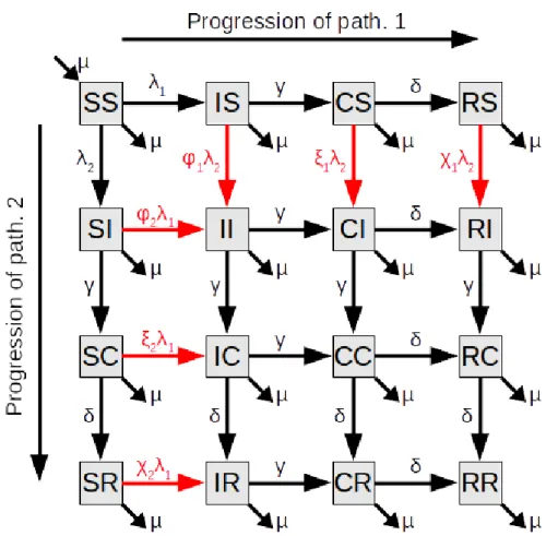 Figure 2. Diagramme du modèle à deux pathogènes. Chaque cadre représente un statut de l’hôte