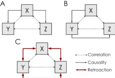 Figure 2. Several patterns of causalities that induce the same pattern of