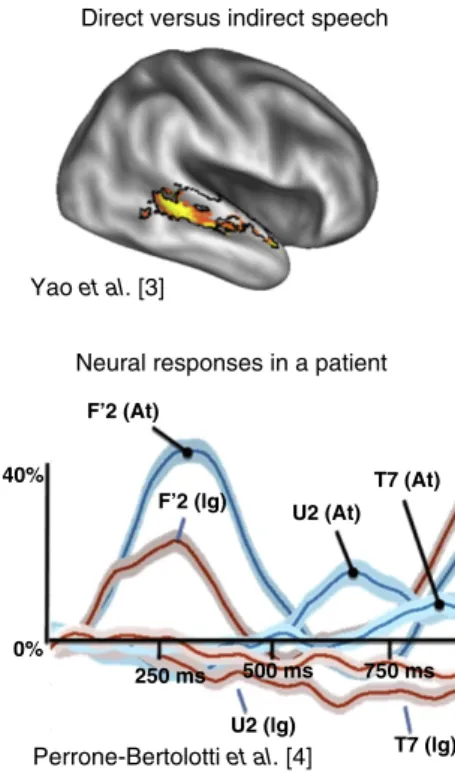 Figure 2. Regional brain and neuronal processes during silent reading.