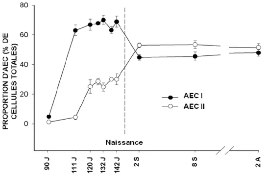 Figure  4:  Changement  de  la  proportion  des  AECI  et  les  AECII  chez  l’ovin  durant  la  période  de  gestation  jusqu'à 2 ans après naissance