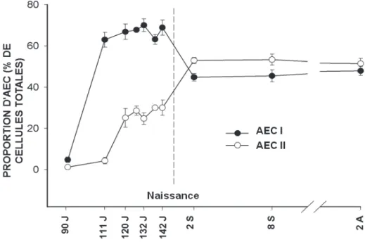 Figure 4: Changement de la proportion des AECI et les AECII chez l’ovin durant la période de gestation  jusqu'à 2 ans après naissance
