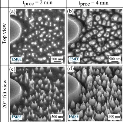Figure 2.2. Time-lapse cryo-DRIE fabrication of BSi sample S03. Top-view SEM micrographs at t = 2 min (a) and t = 4 min (b)
