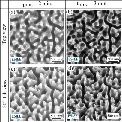 Figure 2.3. Time-lapse cryo-DRIE fabrication of BSi sample S04. Top-view SEM micrographs at t = 2 min (a) and t = 3 min (b)