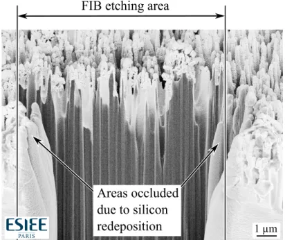 Figure 2.14. SEM micrograph of BSi sample S01b during conventional FIB-SEM process showing areas occluded due to silicon redeposition