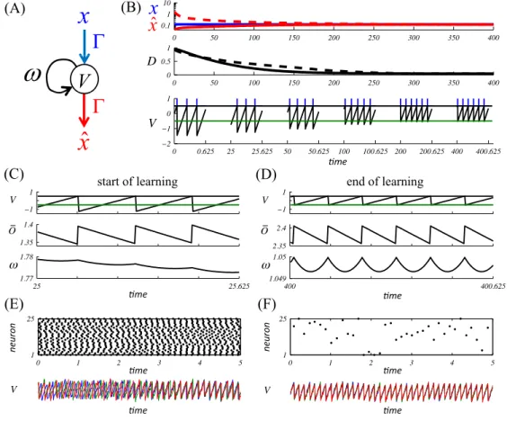 Figure 1: Learning in a single neuron and a homogeneous network. (A) A single neuron represents an input signal x by producing an output x