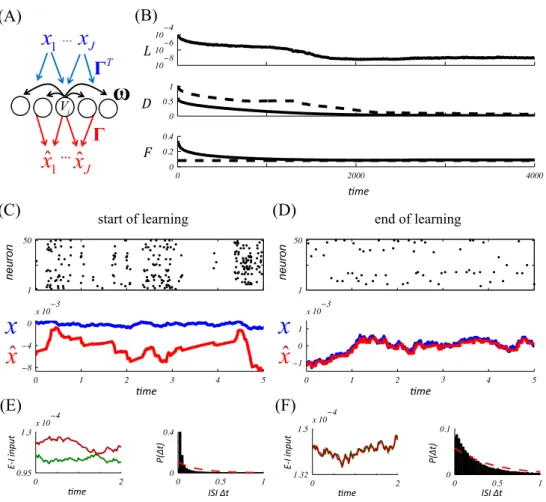 Figure 2: Learning in a heterogeneous network. (A) A network of neurons represents an input signal x by producing an output x