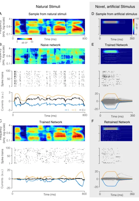 Figure 4: Network (100 neurons) that encodes a high-dimensional, structured natural input (speech sounds)