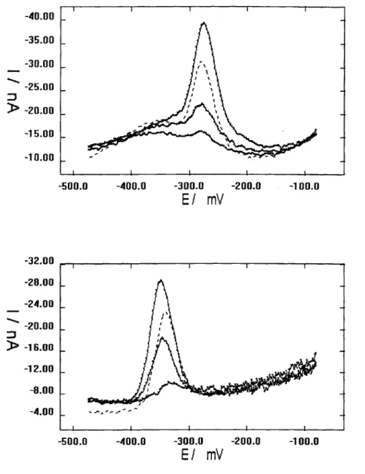 Figure  3.2.  Sample  potential scans:  solid lines  are  samples  with  1 mg/L  SRHA, and  dashed  lines  are for the samples  run the same  day  without SRHA