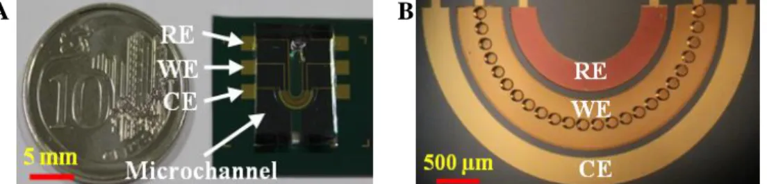 Figure 3: Influences of (A) frequency, (B) amplitude and (C) step potential on the stripping peak of 30 ppb Cu(II)