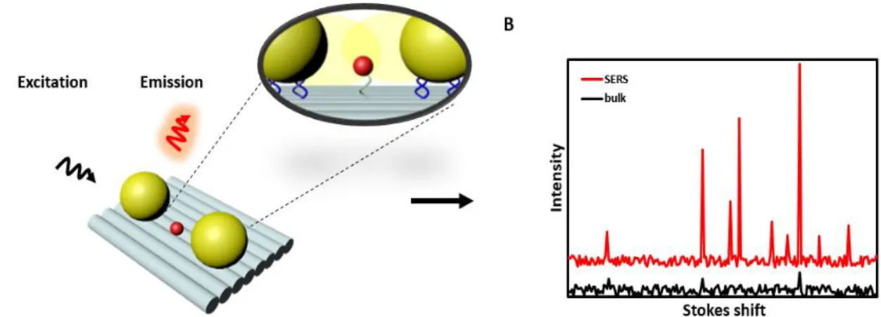 Figure 5. (A) Illustration of two nanoparticles (NPs) that are bound to a DNA origami template