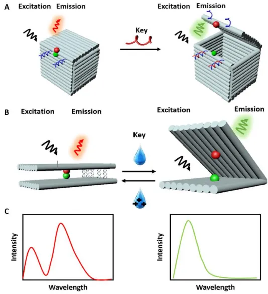 Figure 3. Illustrations for fluorescence (Förster) resonance energy transfer (FRET) sensing with DNA  origami structures